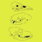 Untitled Design